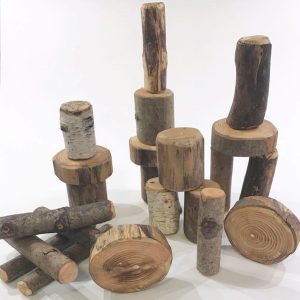 Baby Toys Birch & Bark Wood Blocks
