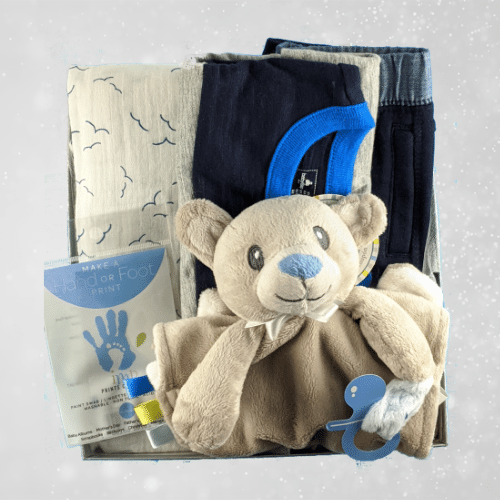 Baby Boy Gift Stuffed Bear