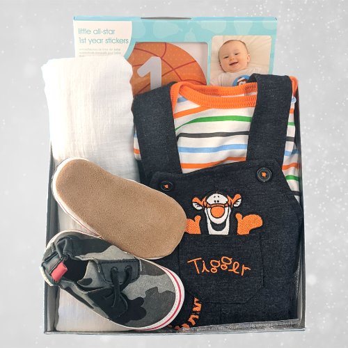 Baby Boy Boxed Set Robeez Shoes