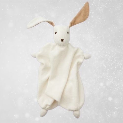 Bunny Lovey Baby Gift