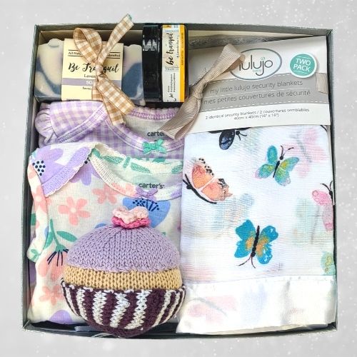 Baby Girl Butterfly Themed Gift